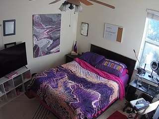 The Horny Hostel - Bedroom 2