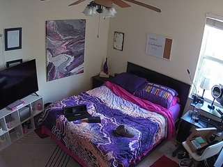 voyeurcam-hornyhostel-01 webcam