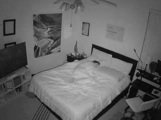 The Horny Hostel - Bedroom 2