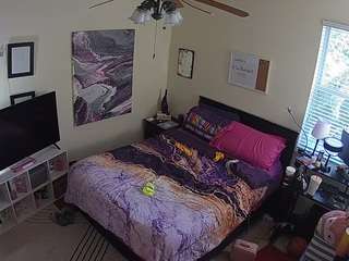 voyeurcam-hornyhostel-01 webcam