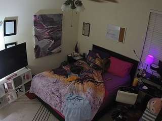 The Horny Hostel - Bedroom 2 live webcam on Soda Cams