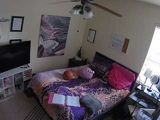 The Horny Hostel - Bedroom 2