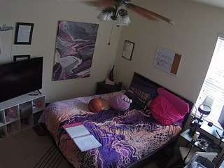 The Horny Hostel - Bedroom 2