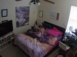 The Horny Hostel - Bedroom 2