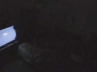 voyeurcam-hornyhostel-01 webcam