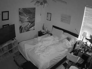 The Horny Hostel - Bedroom 2