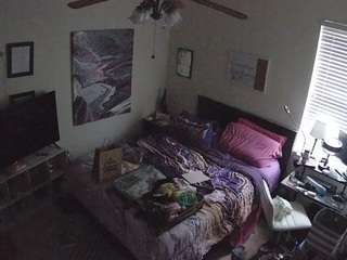 The Horny Hostel - Bedroom 2