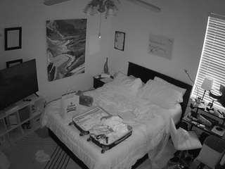 voyeurcam-hornyhostel-01 webcam