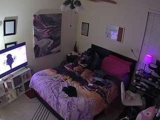 voyeurcam-hornyhostel-01 webcam