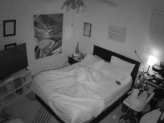 The Horny Hostel - Bedroom 2