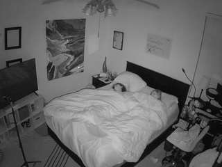 The Horny Hostel - Bedroom 2