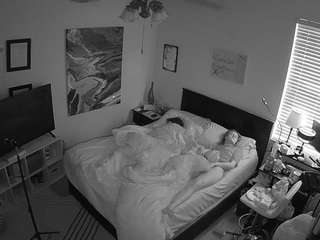 The Horny Hostel - Bedroom 2