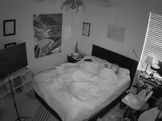 The Horny Hostel - Bedroom 2