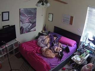 The Horny Hostel - Bedroom 2