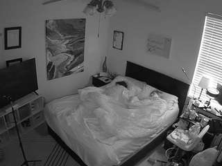 The Horny Hostel - Bedroom 2