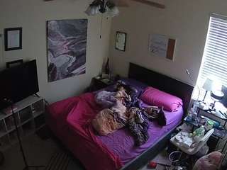 voyeurcam-hornyhostel-01 webcam