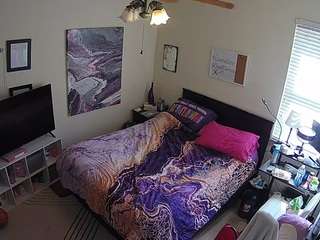 The Horny Hostel - Bedroom 2