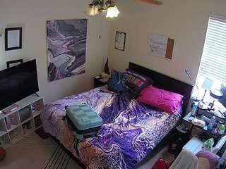 The Horny Hostel - Bedroom 2