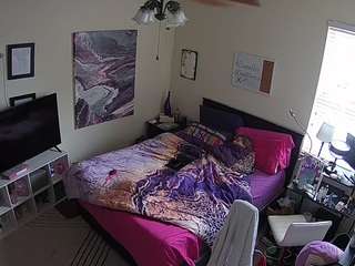 The Horny Hostel - Bedroom 2
