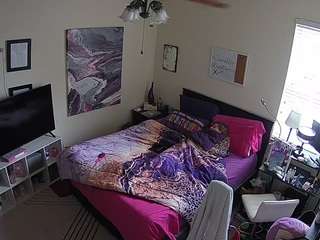 The Horny Hostel - Bedroom 2