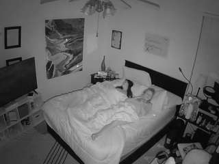 The Horny Hostel - Bedroom 2