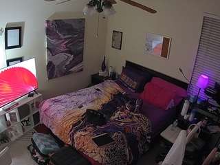 The Horny Hostel - Bedroom 2