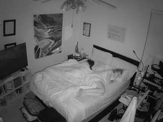 voyeurcam-hornyh... Live Webcam on CamSoda