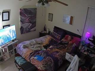 voyeurcam-hornyhostel-01 webcam