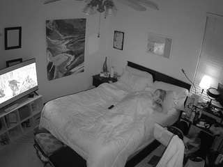 voyeurcam-hornyhostel-01 webcam