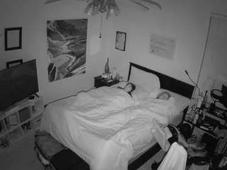 voyeurcam-hornyhostel-01 webcam