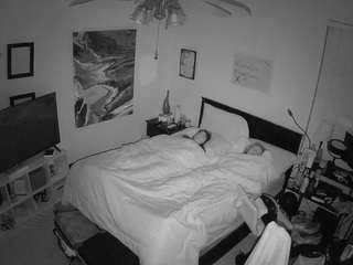 voyeurcam-hornyhostel-01 webcam