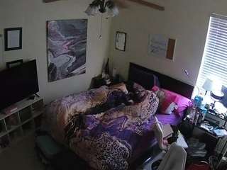 The Horny Hostel - Bedroom 2