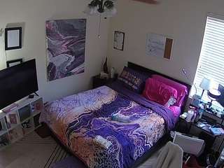 voyeurcam-hornyhostel-01 webcam