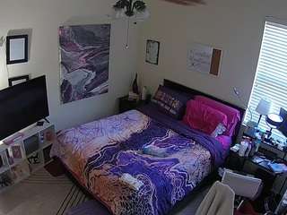voyeurcam-hornyhostel-01 webcam
