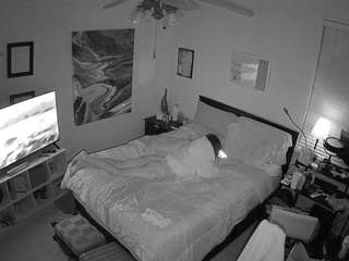 The Horny Hostel - Bedroom 2