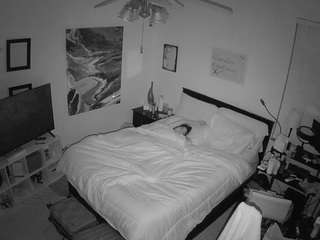 voyeurcam-hornyhostel-01 webcam