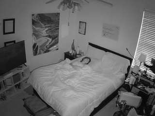 The Horny Hostel - Bedroom 2