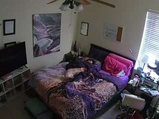 voyeurcam-hornyhostel-01 webcam