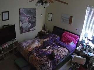 The Horny Hostel - Bedroom 2
