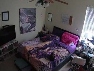 The Horny Hostel - Bedroom 2