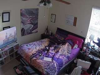 voyeurcam-hornyh... Live Webcam on CamSoda