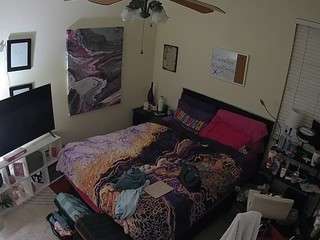 The Horny Hostel - Bedroom 2