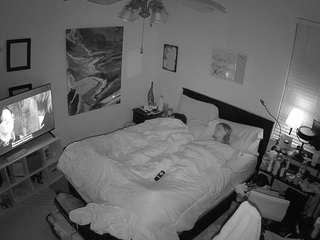 The Horny Hostel - Bedroom 2