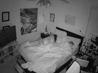 voyeurcam-hornyhostel-01 webcam