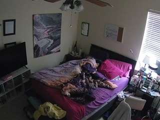 voyeurcam-hornyhostel-01 webcam