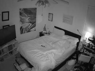 The Horny Hostel - Bedroom 2
