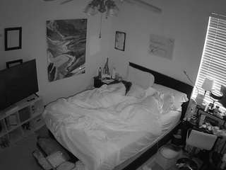 The Horny Hostel - Bedroom 2