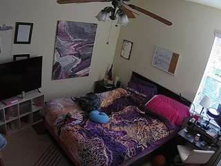The Horny Hostel - Bedroom 2