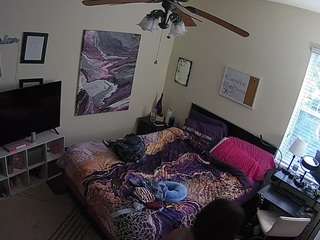 The Horny Hostel - Bedroom 2
