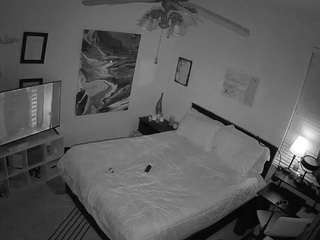 The Horny Hostel - Bedroom 2